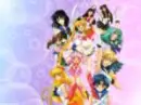 All The Sailor Scouts