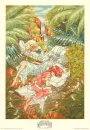 The Magic Knights Asleep