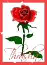 Thrasha Rose Graphic