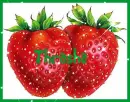 Strawberrys Thrasha
