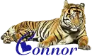 Connor
