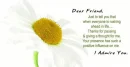 Friendship