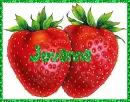 strawberries jovanna