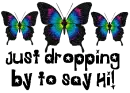 Butterflies - Dropping to say Hi