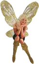 Little Fairy