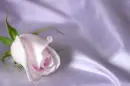 satinul meu