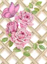 Pink Rose