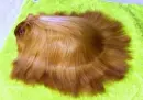 Hairy Guiena Pig(found on funnyjunk.com)