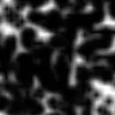 black and white mess glitter thing