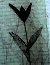 emo flower 4