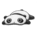 panda