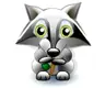 racoon