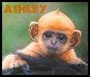 Ashley