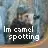 Camel Spotting