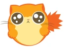 Cat Squirrel Thing