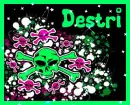 Destri Skull Graphic