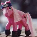 sakura poney