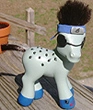 shino poney
