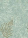 Fern