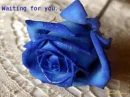 Waiting for you