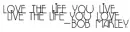 love your life