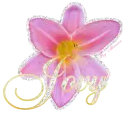 Jovy Flower