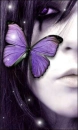 purple butterfly