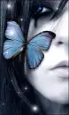 blue butterfly