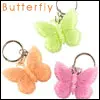butterflys