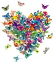 butterflys heart