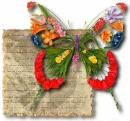 flower butterfly