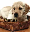 Sarah dog