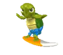 SURFER TORTUGA