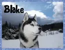 Blake