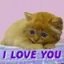 i love you