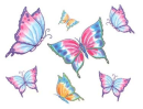 butterfly