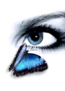 Blue Eyed Butterfly
