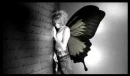 Butterfly Notes