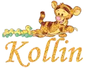 Kollin