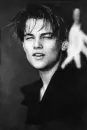 Leonardo DiCaprio