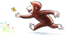 pink monkey