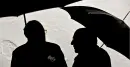 umbrella