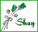 Shay
