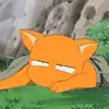kyo in cat form