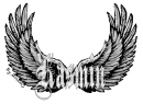 kasmin wing