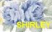 Shirley