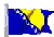Bosnian Flag 