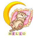 hello 