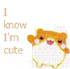 hamster