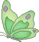 butterfly